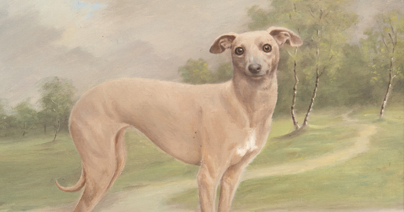 Ett samlarhem – Hundtema