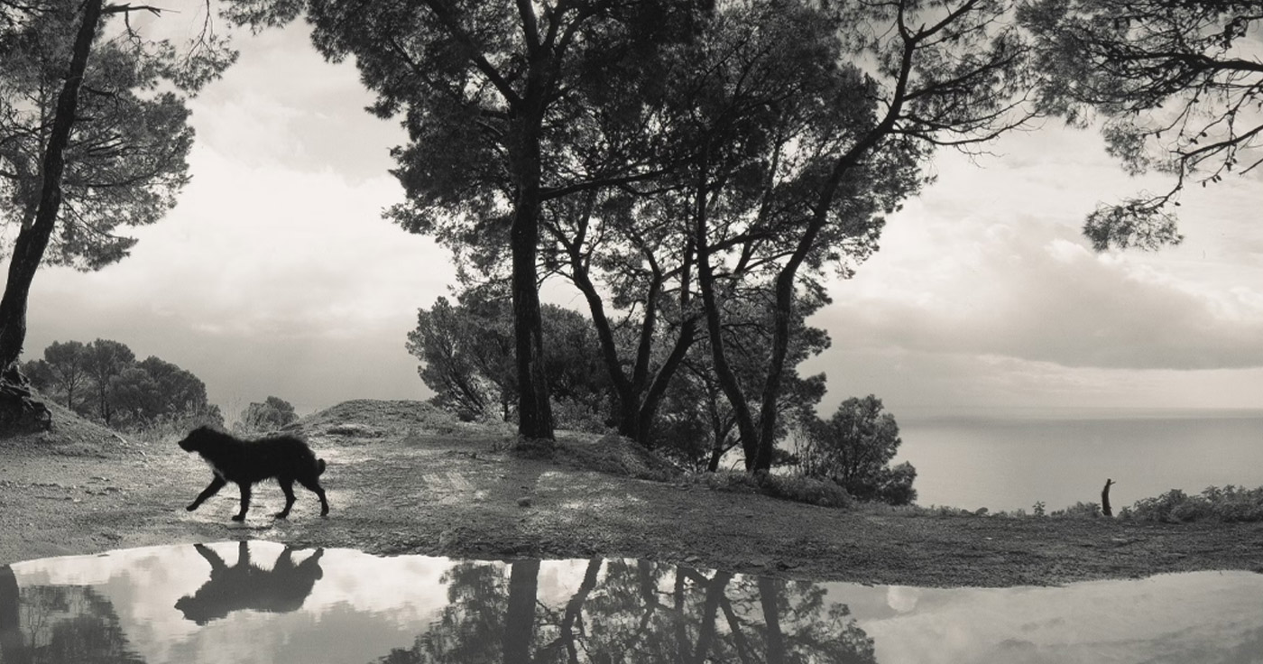 Here Far Away – Photographs by Pentti Sammallahti